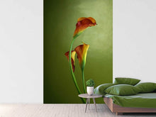 Load image into Gallery viewer, Photo Wallpaper 3 Callas