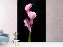 Load image into Gallery viewer, Photo Wallpaper 3 Purple Callas
