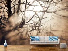 Load image into Gallery viewer, Photo Wallpaper Branches In Fog Light