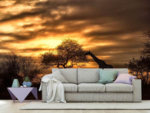 Load image into Gallery viewer, Photo Wallpaper African Dreams