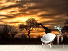 Load image into Gallery viewer, Photo Wallpaper African Dreams