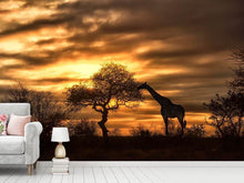 Load image into Gallery viewer, Photo Wallpaper African Dreams