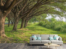 Load image into Gallery viewer, Photo Wallpaper Mature Trees
