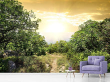 Load image into Gallery viewer, Photo Wallpaper At The End Of The forest