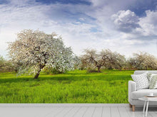 Load image into Gallery viewer, Photo Wallpaper Apple Tree Garden