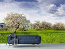 Load image into Gallery viewer, Photo Wallpaper Apple Tree Garden