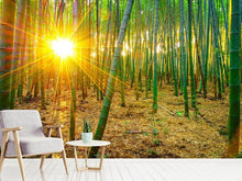 Load image into Gallery viewer, Photo Wallpaper Bamboos