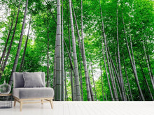 Load image into Gallery viewer, Photo Wallpaper Bamboo Forest