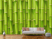 Load image into Gallery viewer, Photo Wallpaper Bamboo Wall