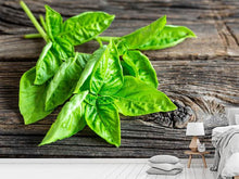 Load image into Gallery viewer, Photo Wallpaper Basil Leaves