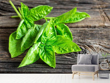 Load image into Gallery viewer, Photo Wallpaper Basil Leaves