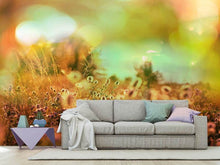 Load image into Gallery viewer, Photo Wallpaper Flower Meadow At Twilight