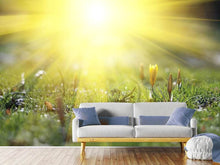 Load image into Gallery viewer, Photo Wallpaper Flowery Meadow