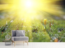 Load image into Gallery viewer, Photo Wallpaper Flowery Meadow