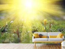 Load image into Gallery viewer, Photo Wallpaper Flowery Meadow