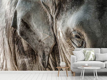 Load image into Gallery viewer, Photo Wallpaper Close Up Elephant