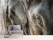 Load image into Gallery viewer, Photo Wallpaper Close Up Elephant