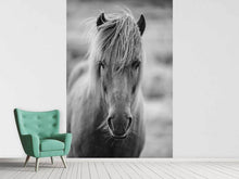 Load image into Gallery viewer, Photo Wallpaper Horse Being At The Corridor