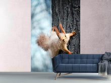 Load image into Gallery viewer, Photo Wallpaper The Squirrel