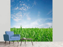 Load image into Gallery viewer, Photo Wallpaper The Grass