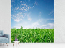 Load image into Gallery viewer, Photo Wallpaper The Grass