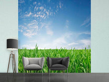 Load image into Gallery viewer, Photo Wallpaper The Grass