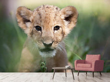 Load image into Gallery viewer, Photo Wallpaper Lion Baby