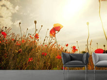 Load image into Gallery viewer, Photo Wallpaper The Poppy Field At Sunrise