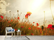 Load image into Gallery viewer, Photo Wallpaper The Poppy Field At Sunrise