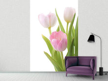 Load image into Gallery viewer, Photo Wallpaper The Tulips Trio