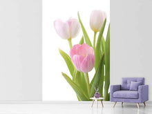Load image into Gallery viewer, Photo Wallpaper The Tulips Trio