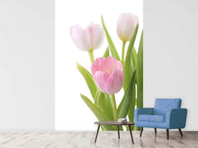 Load image into Gallery viewer, Photo Wallpaper The Tulips Trio