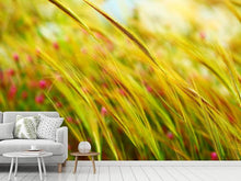 Load image into Gallery viewer, Photo Wallpaper The Wheat Field