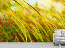 Load image into Gallery viewer, Photo Wallpaper The Wheat Field