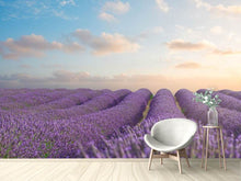 Load image into Gallery viewer, Photo Wallpaper The Blooming Lavender Field
