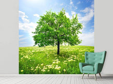 Load image into Gallery viewer, Photo Wallpaper The Tree