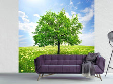 Load image into Gallery viewer, Photo Wallpaper The Tree