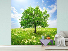 Load image into Gallery viewer, Photo Wallpaper The Tree