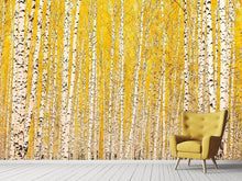 Load image into Gallery viewer, Photo Wallpaper The Birch Forest In Autumn