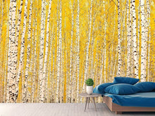 Load image into Gallery viewer, Photo Wallpaper The Birch Forest In Autumn