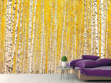 Load image into Gallery viewer, Photo Wallpaper The Birch Forest In Autumn
