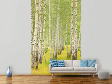 Load image into Gallery viewer, Photo Wallpaper The Birch Forest In Late Summer