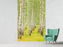 Load image into Gallery viewer, Photo Wallpaper The Birch Forest In Late Summer