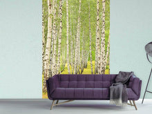 Load image into Gallery viewer, Photo Wallpaper The Birch Forest In Late Summer