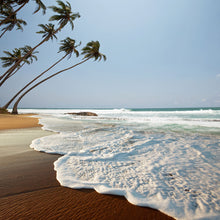 Load image into Gallery viewer, Photo Wallpaper The Rock