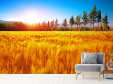 Load image into Gallery viewer, Photo Wallpaper The Autumn