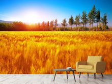 Load image into Gallery viewer, Photo Wallpaper The Autumn