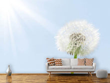 Load image into Gallery viewer, Photo Wallpaper Dandelion In Sunbeam
