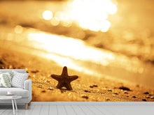 Load image into Gallery viewer, Photo Wallpaper The Starfish
