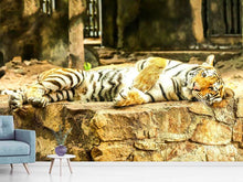 Load image into Gallery viewer, Photo Wallpaper The Siberian Tiger